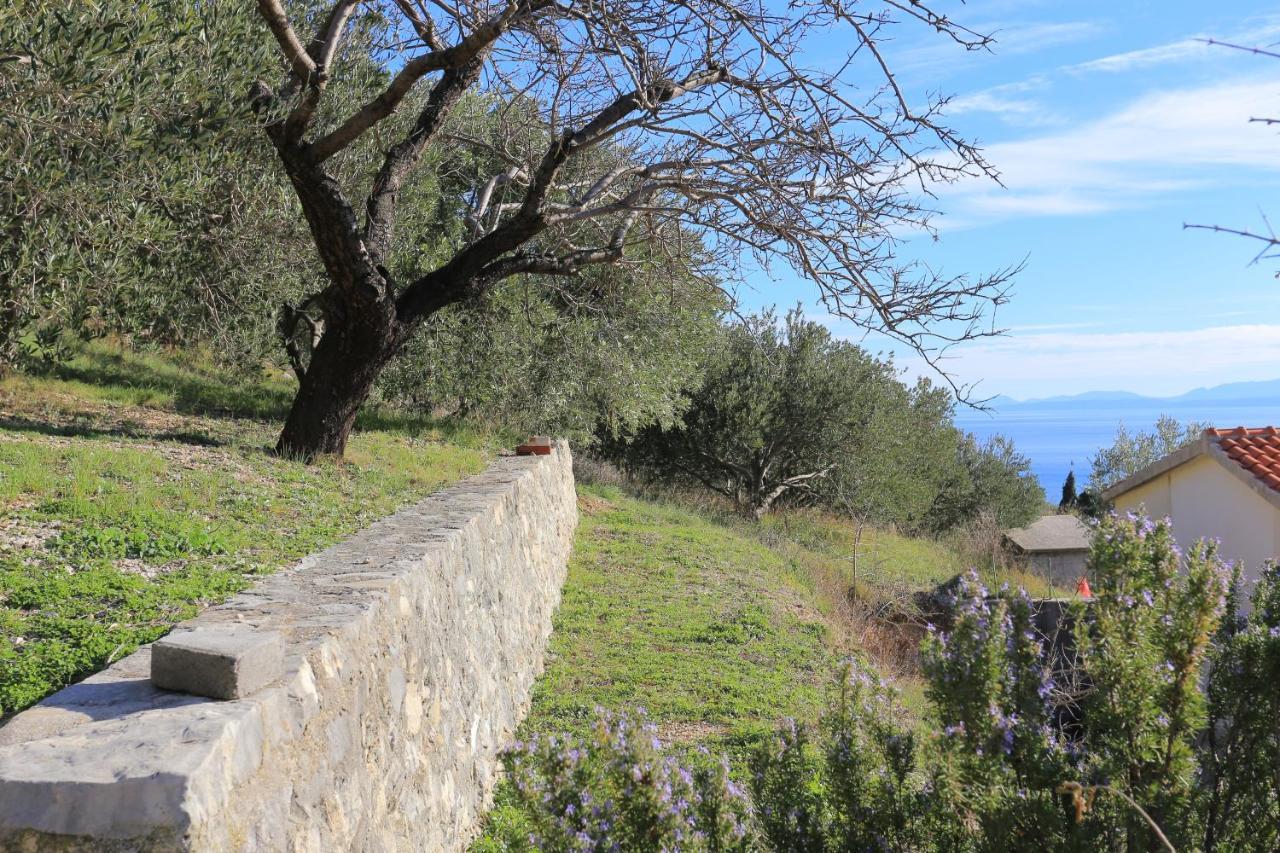 Apartments with a parking space Brela, Makarska - 18495 Bagian luar foto